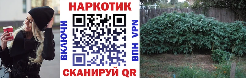 Купить наркотик аптеки Терек Галлюциногенные грибы Cocaine Меф мяу мяу Канабис Гашиш Альфа ПВП