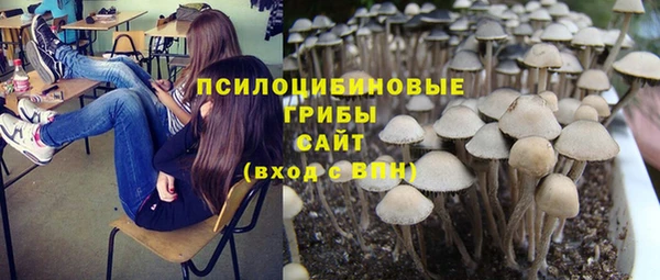 круглые Абаза