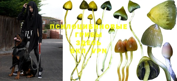альфа пвп VHQ Новокубанск