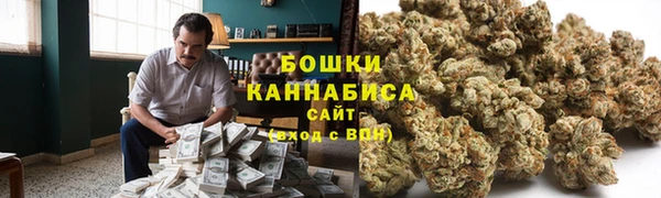 сатива Абинск