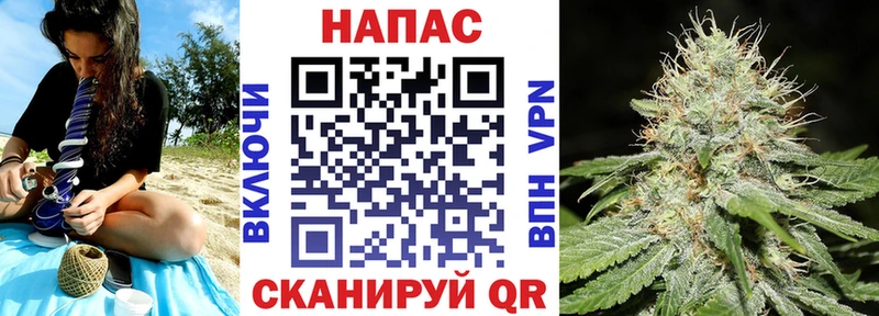 Шишки марихуана Amnesia  гидра сайт  Терек 